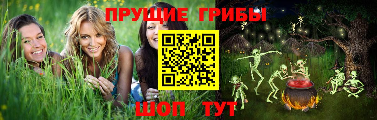 Псилоцибиновые грибы MAGIC MUSHROOMS  Вход с VPN  Галлюциногенные грибы Psilocybe  Дедовск 